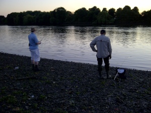 Evening rise, fishing the Thames near Barnes