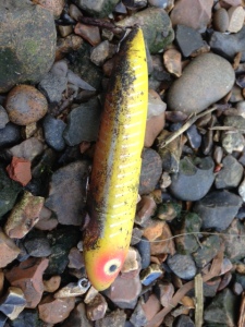 Heddon lure found on the Thames